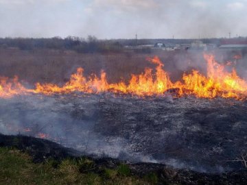 Психічнохворий волинянин підпалив гектар сухої трави