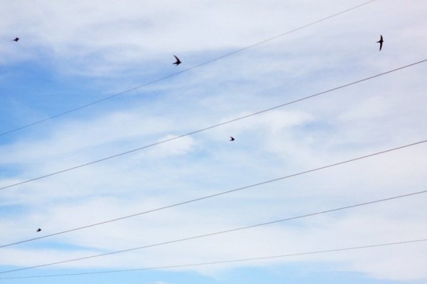 Фотовиставка Юлії Ткаченко