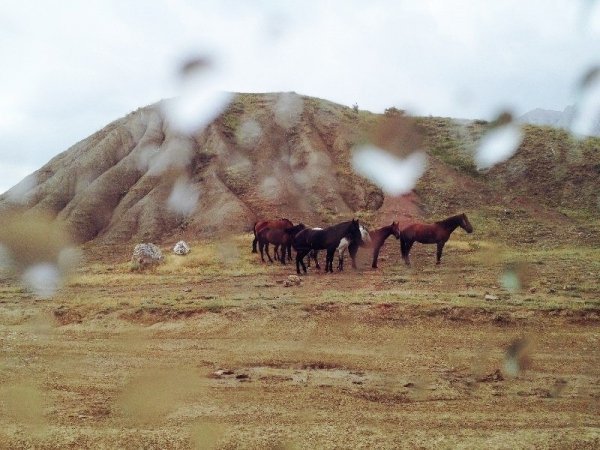 Фотовиставка Юлії Ткаченко