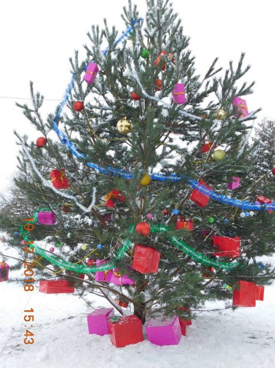 Під Луцьком засвітили головну ялинку району. ФОТО