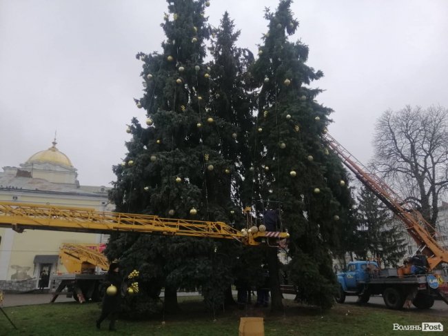 У центрі Луцька почали прикрашати головні ялинки: якими вони будуть цьогоріч 