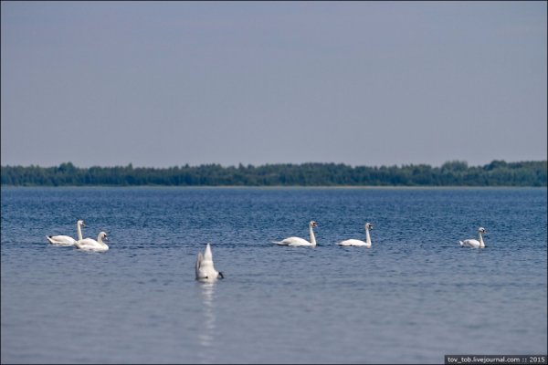 Світязь очима жителя столиці. ФОТО