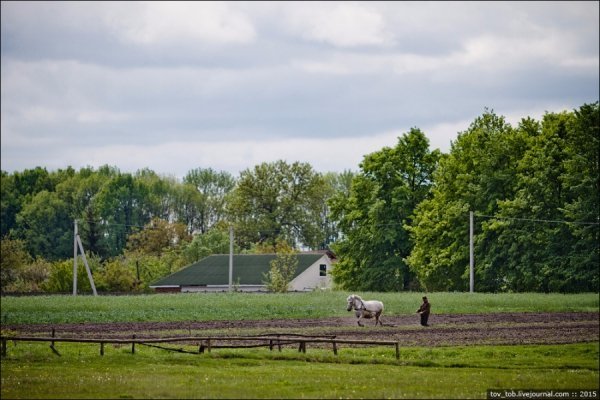 Світязь очима жителя столиці. ФОТО