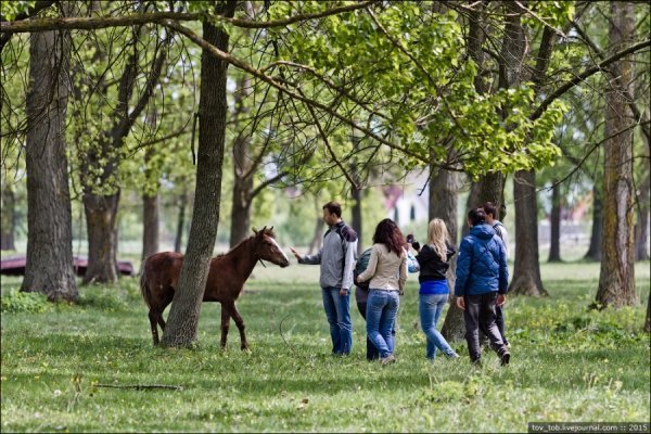 Світязь очима жителя столиці. ФОТО