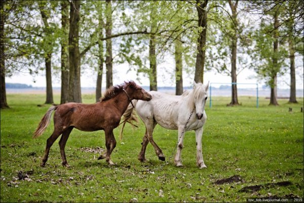 Світязь очима жителя столиці. ФОТО
