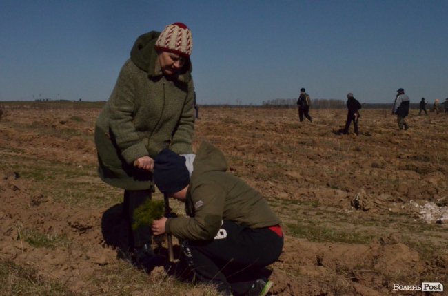 Екологічна акція у Промені, або Як у шквальний вітер народжувався новий ліс. ФОТО