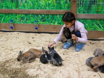 У Луцьку створять контактний зоопарк