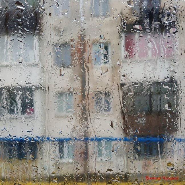 Луцький фотограф поділився «дощовими» світлинами