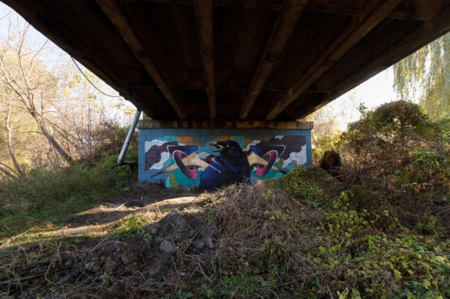 У Луцьку з'явився новий мурал з чорним вороном