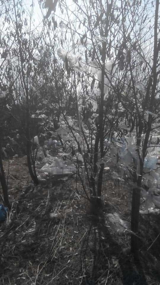 На сміттєзвалищі під Луцьком утворилося «озеро» з отруйних фільтратів. ФОТО