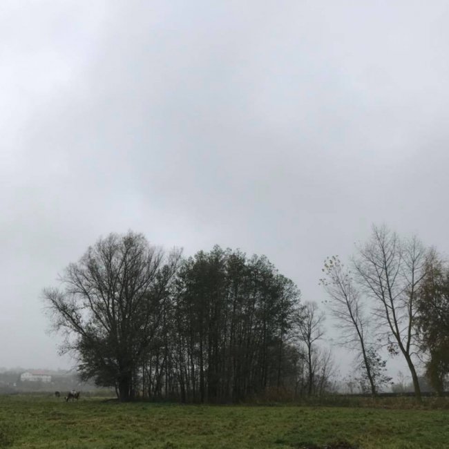 «Риболовля – це класно, якщо ви не провалюєтесь у боброву яму», – волинська журналістка