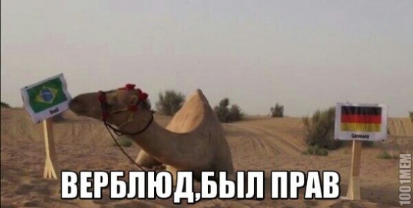 А німці розуміються в порно, − фотожаби на провальний матч Бразилії