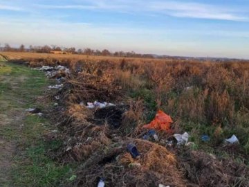 На Волині знищили стихійне сміттєзвалище: там висадять дерева