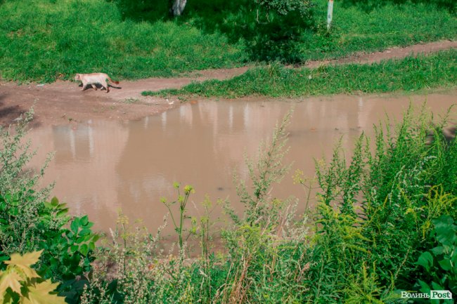 Там, де розвертаються тролейбуси: як живе 40-ий мікрорайон Луцька