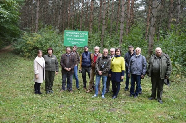Поляки приїхали на Волинь вчитися вирощувати ліси. ФОТО