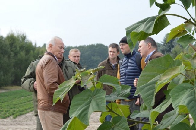 Поляки приїхали на Волинь вчитися вирощувати ліси. ФОТО