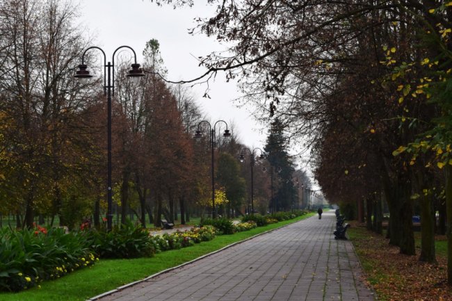 Скульптури луцького парку: від лісовиків до бременських музикантів