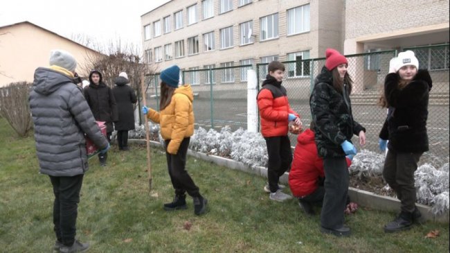 Волинські школярі висадили 500 цибулин квітів з Нідерландів. ВІДЕО