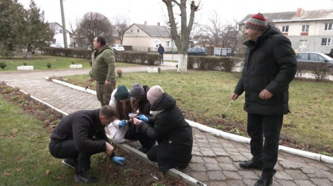 Волинські школярі висадили 500 цибулин квітів з Нідерландів. ВІДЕО