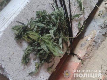 У хаті волинянина знайшли 20 грамів «травки». ФОТО