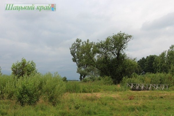 Проект згубив прибережну зону Люцимера.ФОТО