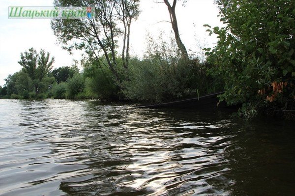 Проект згубив прибережну зону Люцимера.ФОТО