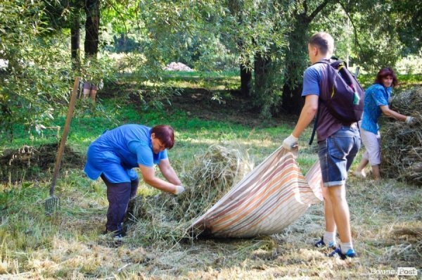 Частина підприємців проігнорувала толоку в луцькому парку. ФОТО