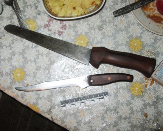 Подробиці вбивства батька сином. ФОТО