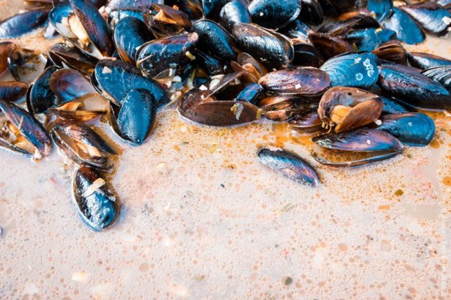 Яким був пивний фестиваль у Луцьку. ФОТО