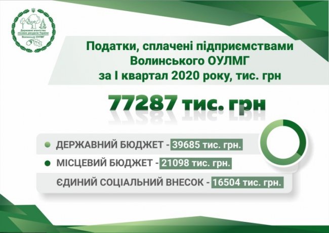 Відомо, скільки податків у 2020 році сплатили лісові підприємства Волині