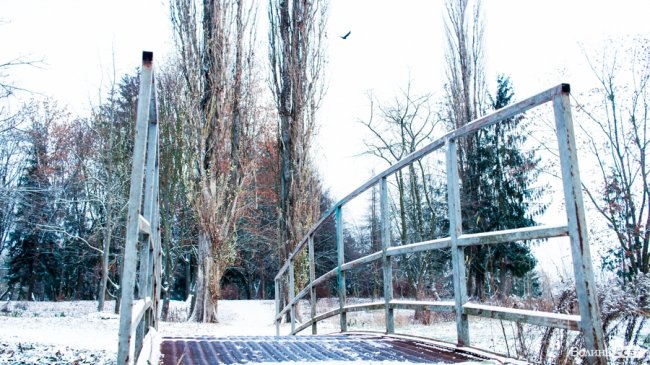 Парк 900-річчя Луцька під першим снігом. ФОТО