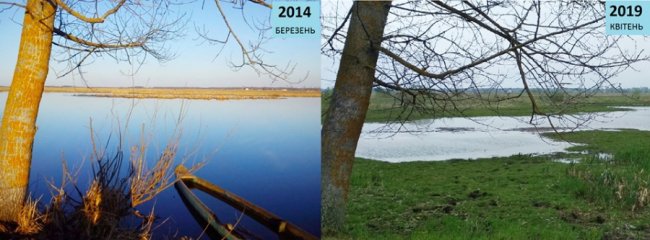 Показали, як за 5 років обміліла волинська річка