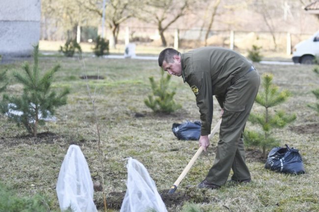 Біля лікарні у Боголюбах посадили парк для реабілітації українських воїнів. ФОТО