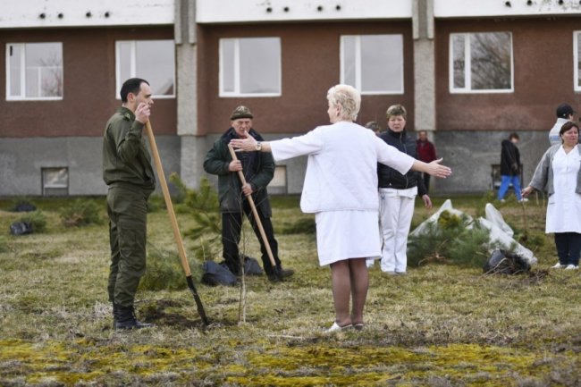 Біля лікарні у Боголюбах посадили парк для реабілітації українських воїнів. ФОТО