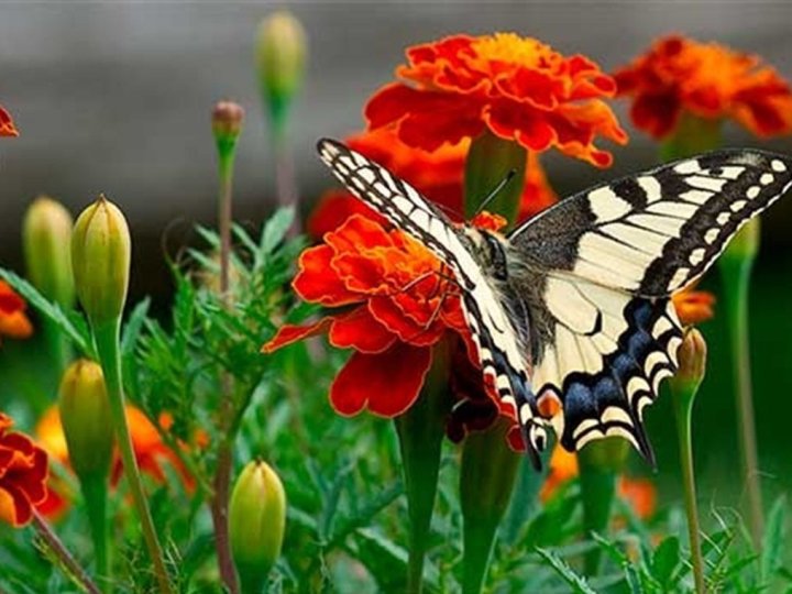 3 вересня на Волині: гортаючи календар