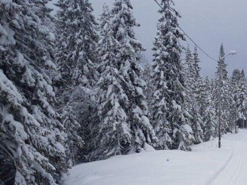 Якою буде погода у Луцьку 10 січня