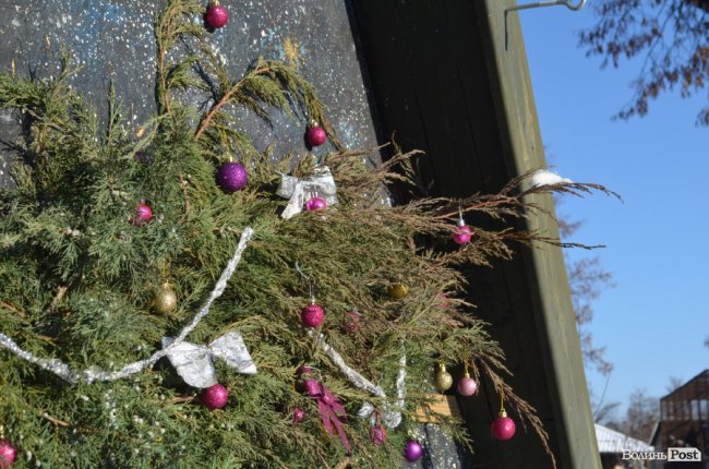 Ялинки лучан можуть стати паливом або «лісом» для ведмедів: що робити із новорічними деревами. ФОТО