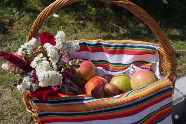 Преображення Господнє: як лучани освячували яблука. ФОТО