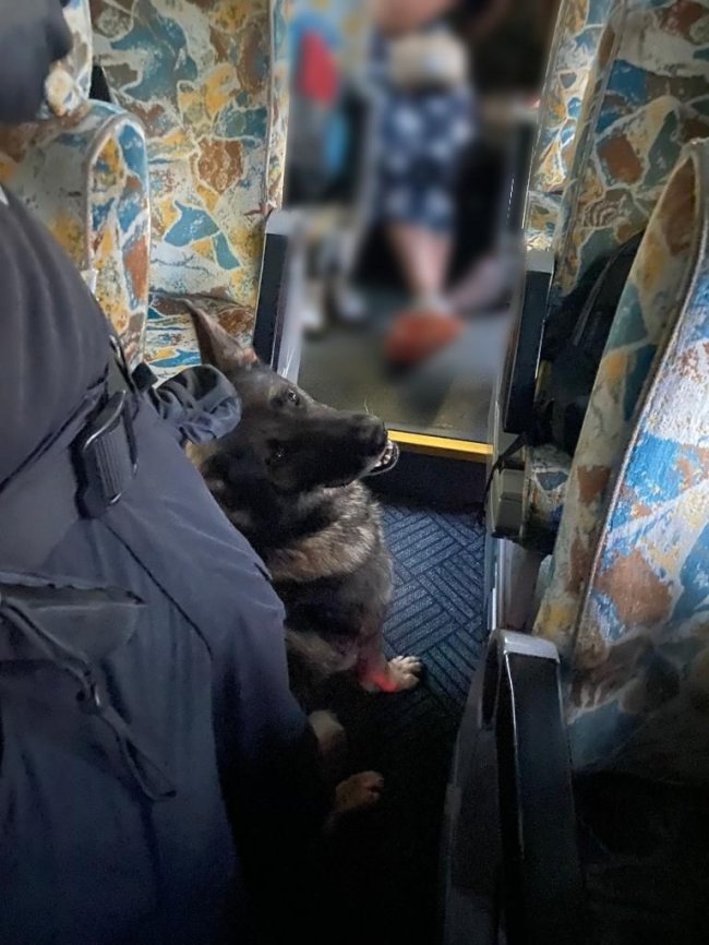 В «Устилузі» прикордонники виявили у пасажира автобуса наркотики. ФОТО