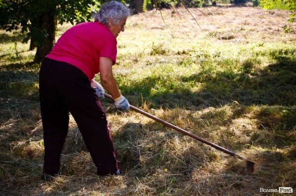 Частина підприємців проігнорувала толоку в луцькому парку. ФОТО