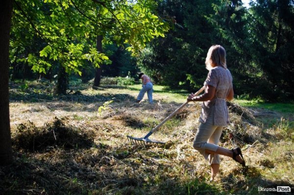 Частина підприємців проігнорувала толоку в луцькому парку. ФОТО
