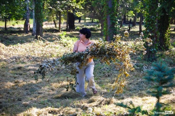Частина підприємців проігнорувала толоку в луцькому парку. ФОТО