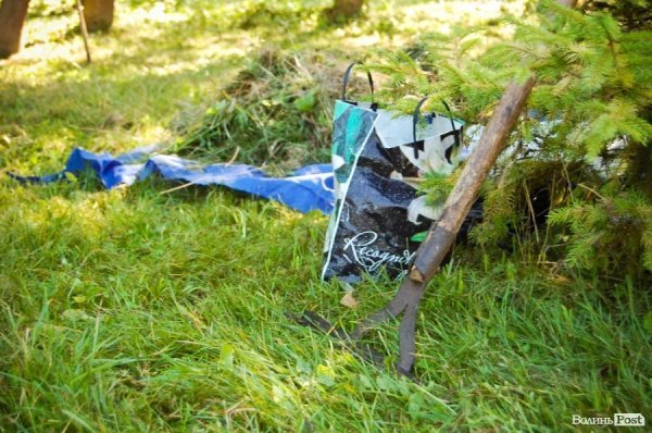 Частина підприємців проігнорувала толоку в луцькому парку. ФОТО