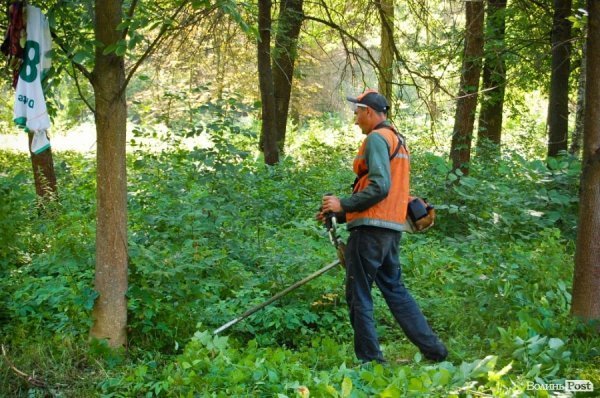 Частина підприємців проігнорувала толоку в луцькому парку. ФОТО
