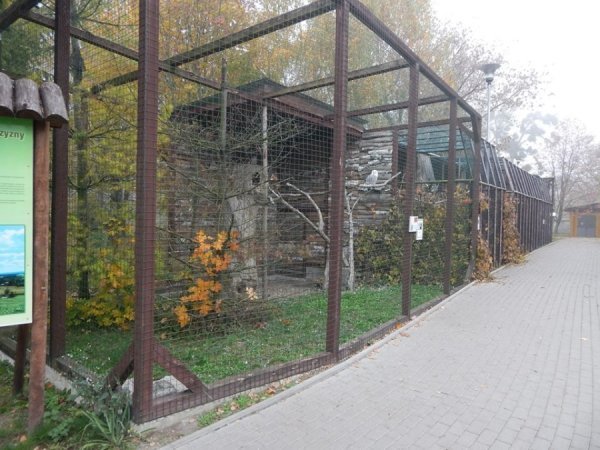 Зоопарк в Замості: погляд з Луцька. ФОТО