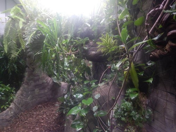 Зоопарк в Замості: погляд з Луцька. ФОТО