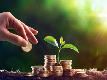 В Україні хочуть ввести новий податок на землю: що це означає