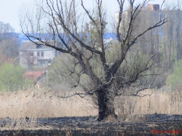 Фотограф обурений знищенням рослинності на «Гнідавському болоті» 