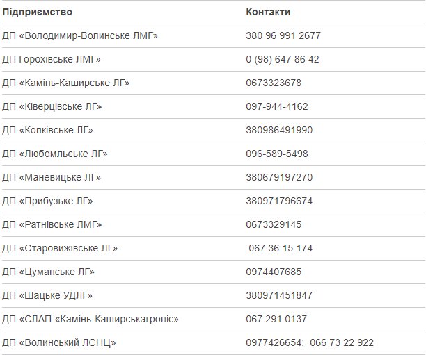 Де на Волині можна придбати березовий сік. СПИСОК