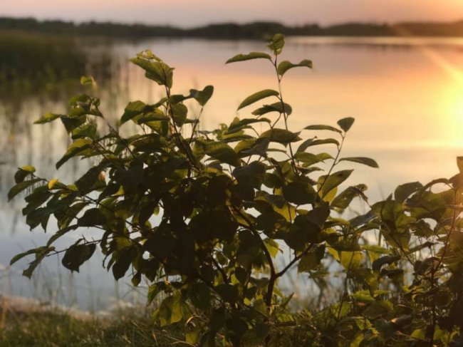 Таємничий Світязь через об'єктив волинського фотографа